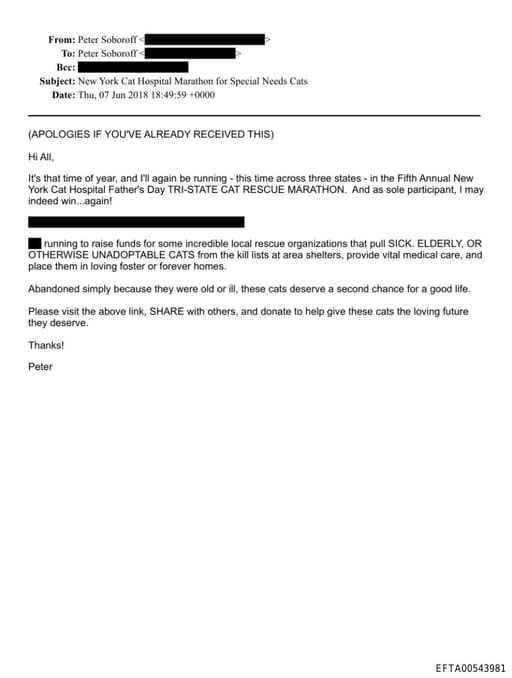 Preview of EFTA00543981