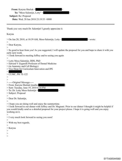 Preview of EFTA00544560