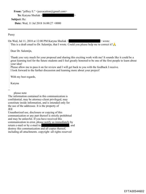 Preview of EFTA00544602