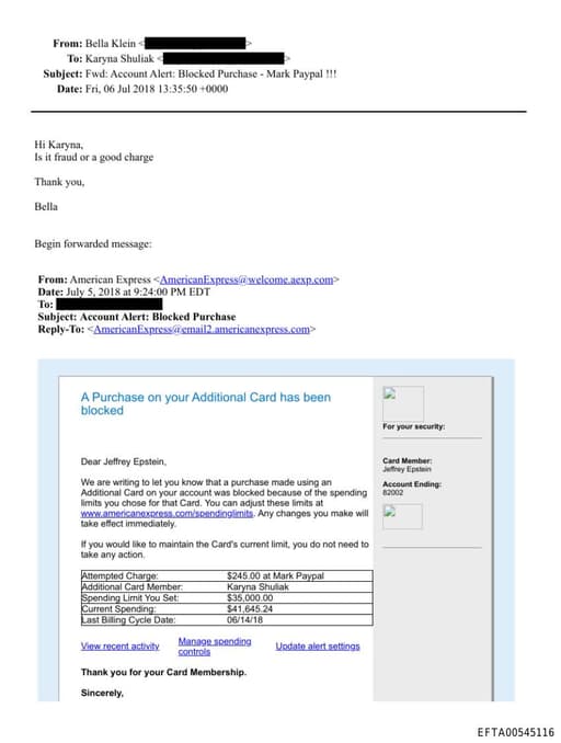 Preview of EFTA00545116