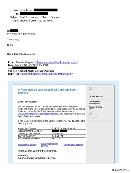 Preview of EFTA00545114