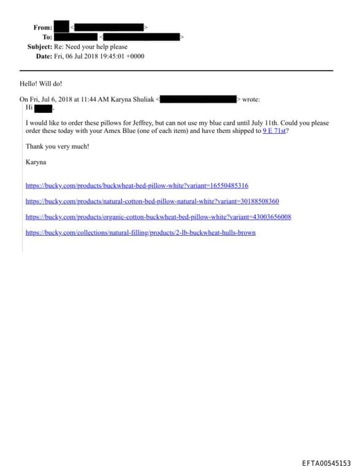 Preview of EFTA00545153