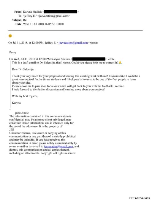 Preview of EFTA00545497