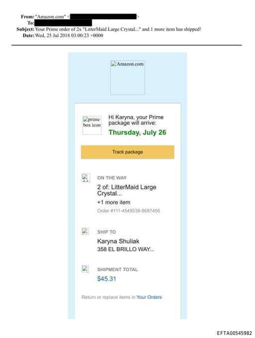 Preview of EFTA00545982