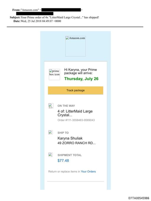 Preview of EFTA00545986