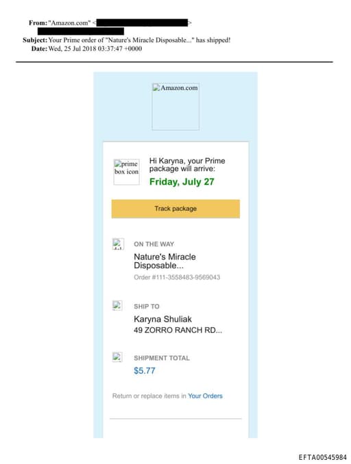 Preview of EFTA00545984