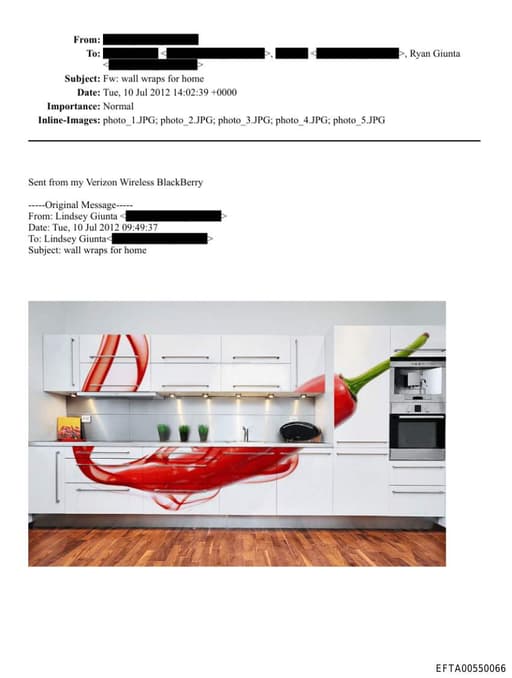 Preview of EFTA00550066