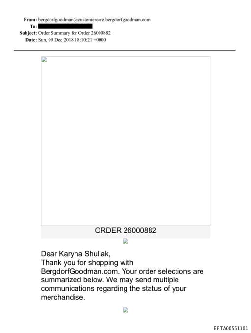 Preview of EFTA00551101