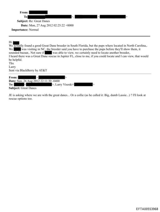 Preview of EFTA00553968