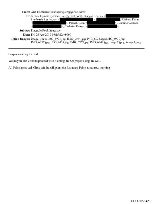 Preview of EFTA00554263