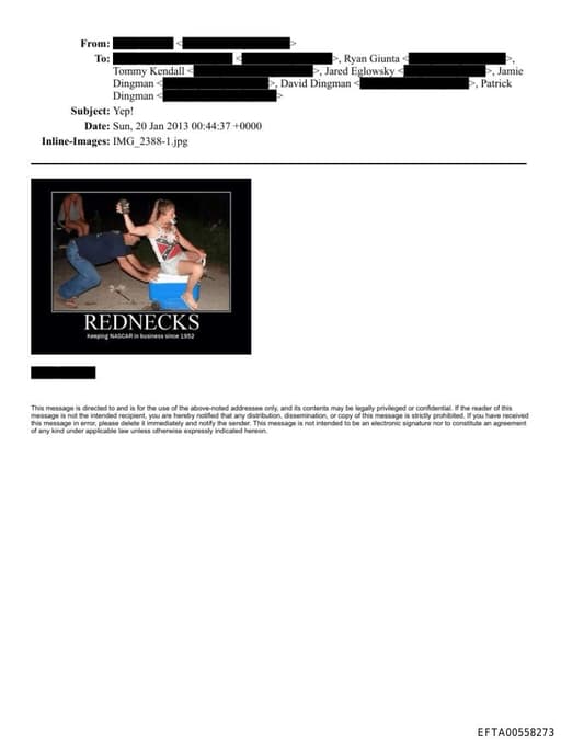 Preview of EFTA00558273