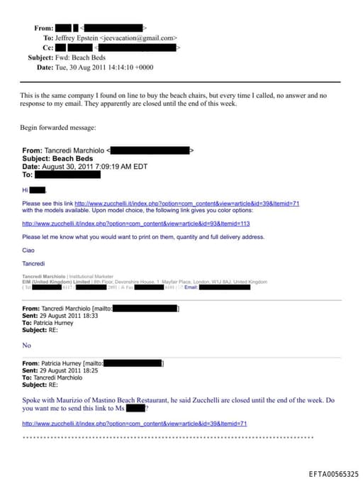 Preview of EFTA00565325