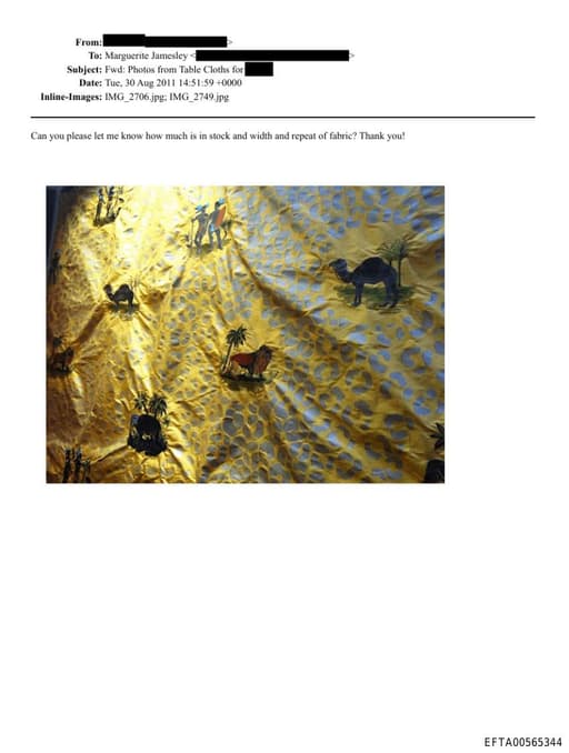 Preview of EFTA00565344