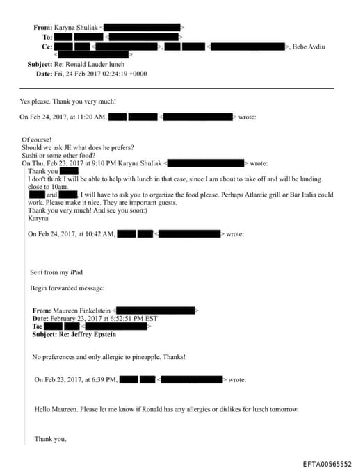 Preview of EFTA00565552