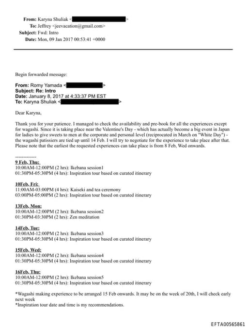 Preview of EFTA00565861