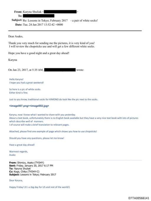 Preview of EFTA00566141