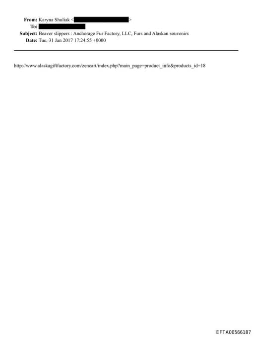 Preview of EFTA00566187