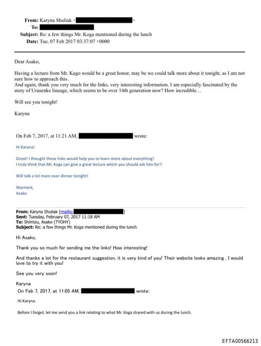 Preview of EFTA00566213