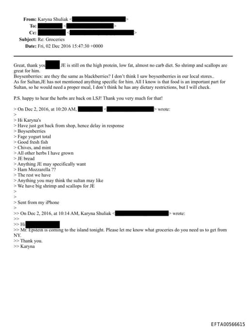 Preview of EFTA00566615