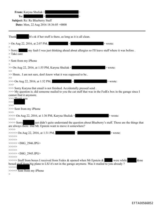 Preview of EFTA00566852