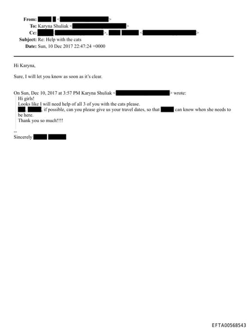 Preview of EFTA00568543