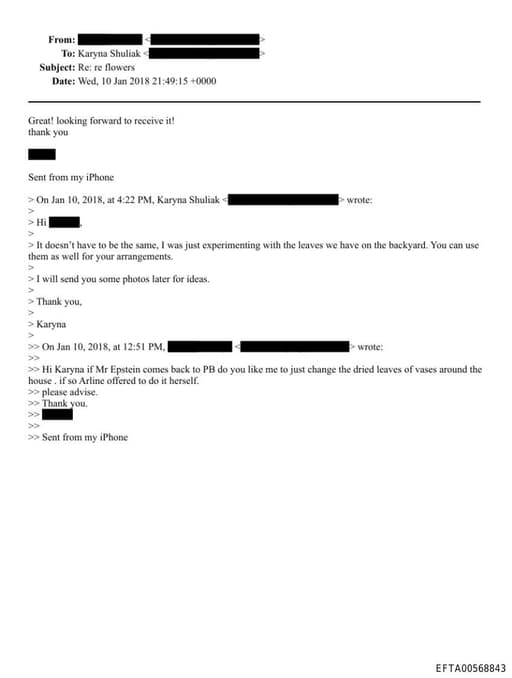 Preview of EFTA00568843