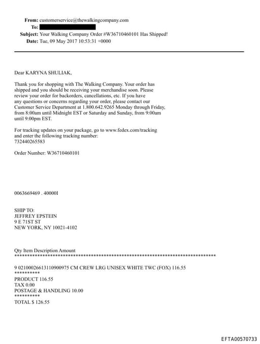 Preview of EFTA00570733