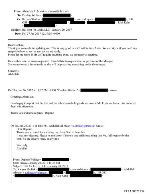 Preview of EFTA00571337