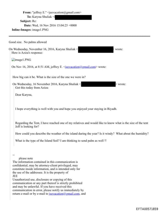 Preview of EFTA00571859