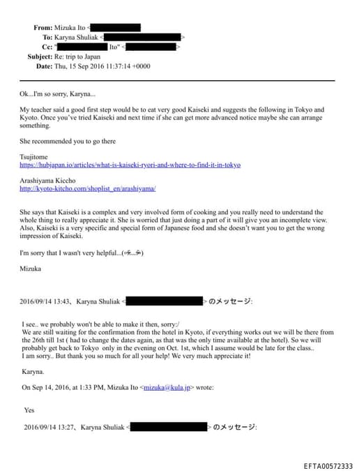 Preview of EFTA00572333