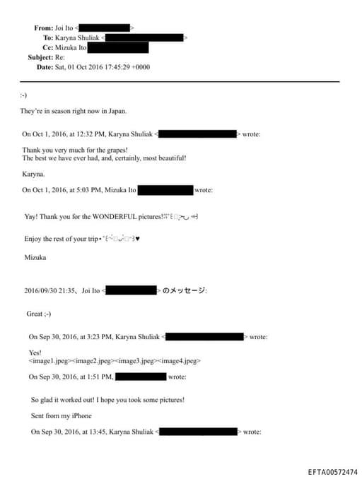 Preview of EFTA00572474