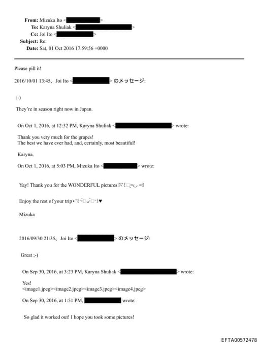 Preview of EFTA00572478