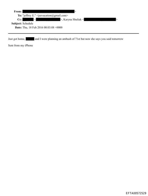 Preview of EFTA00572529