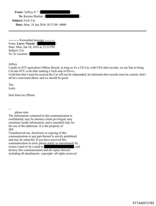 Preview of EFTA00572782