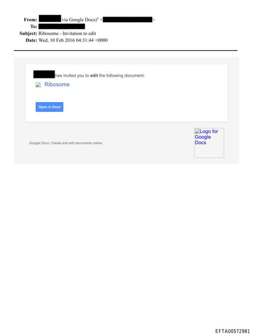 Preview of EFTA00572981