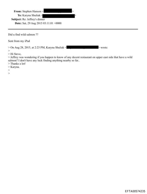 Preview of EFTA00574235