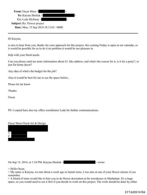 Preview of EFTA00574784