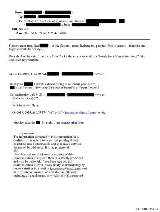 Preview of EFTA00575155