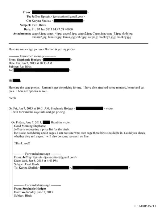 Preview of EFTA00575713