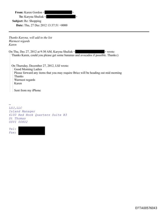 Preview of EFTA00576043