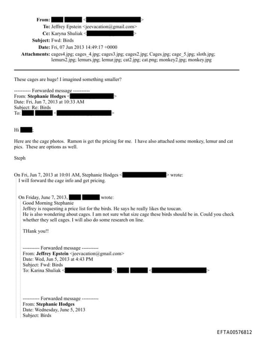 Preview of EFTA00576812