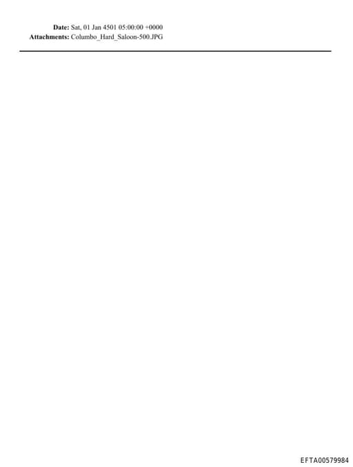 Preview of EFTA00579984