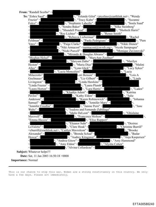 Preview of EFTA00580240