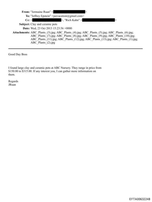 Preview of EFTA00632248