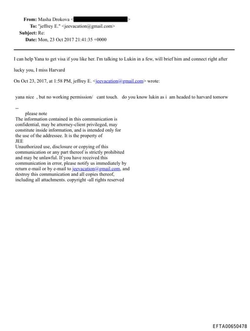 Preview of EFTA00650478