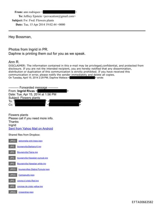 Preview of EFTA00663582