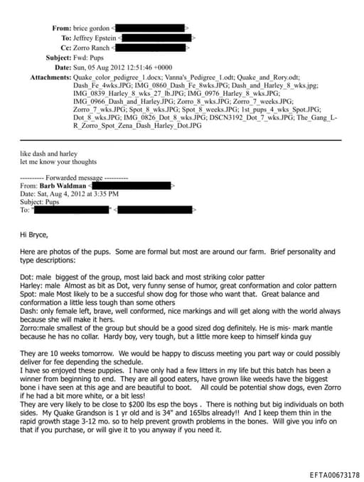 Preview of EFTA00673178