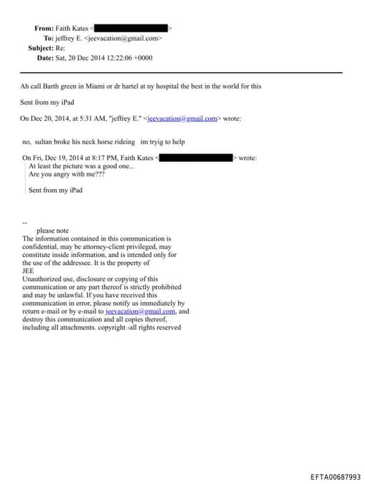 Preview of EFTA00687993