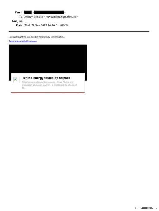 Preview of EFTA00688202