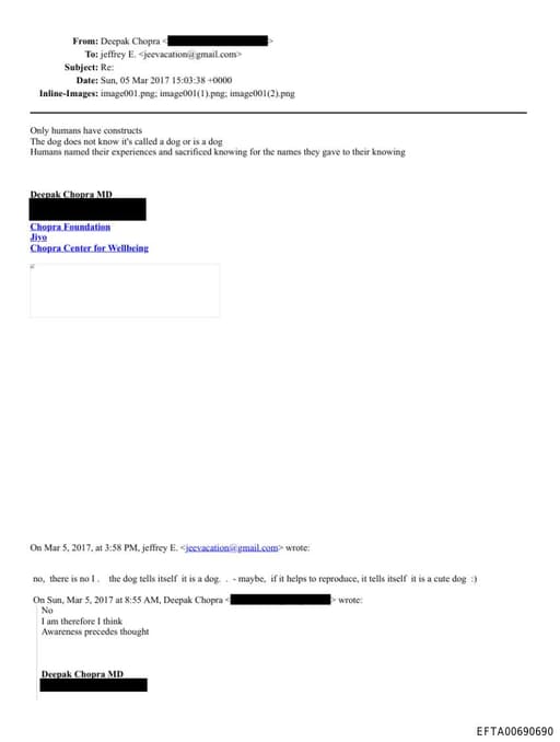 Preview of EFTA00690690